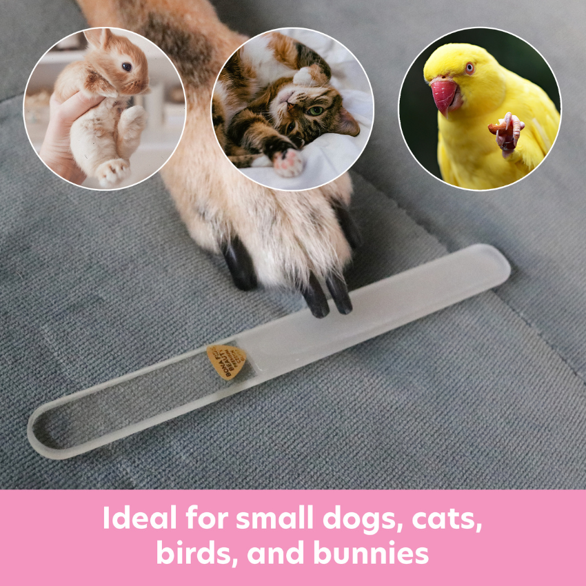 Czech Glass Claw File For Pets - Limited Edition