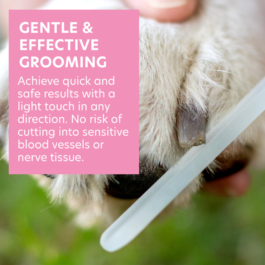 Gentle Glass File for Small Dogs Cats and Birds Bona Fide Beauty